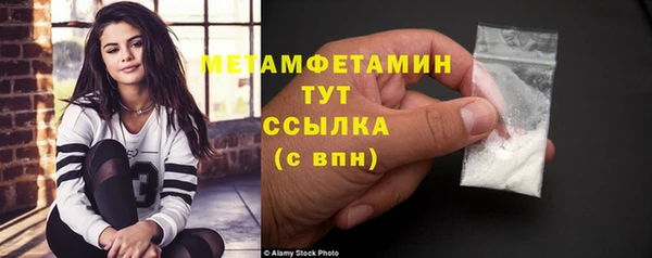 индика Няндома