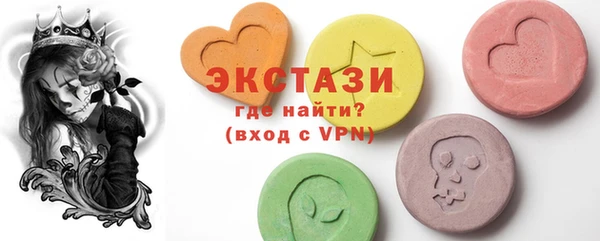 индика Няндома
