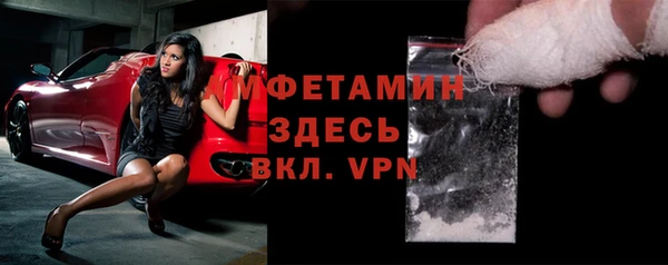 индика Няндома