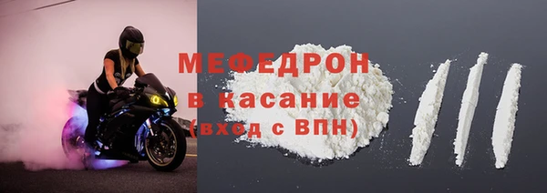 индика Няндома