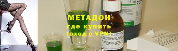 индика Няндома