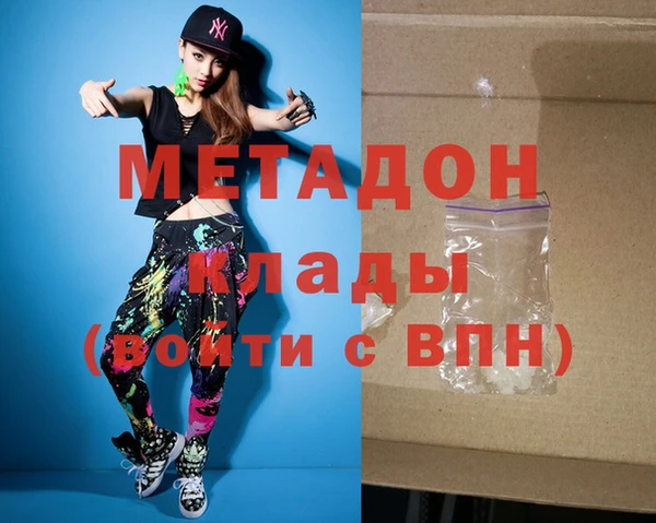 индика Няндома
