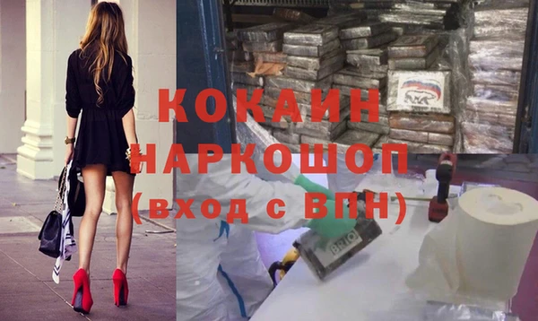 индика Няндома