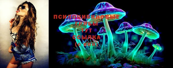мдма Новозыбков