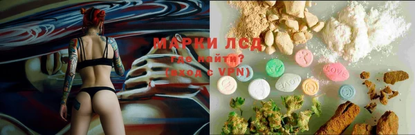МДПВ Новодвинск